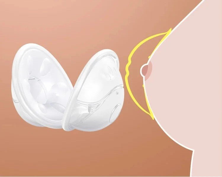 Coquille allaitement | Maternis - Le Nid de Maman