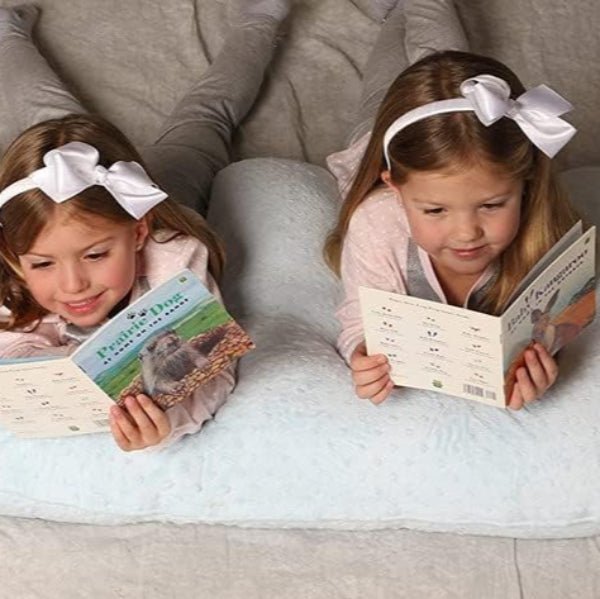 Coussin d'Allaitement - TwinCuddle™ - Bleu Ciel - Le Nid de Maman